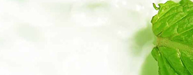 Rak raste v kislem telesu – zavarujte se!